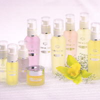 �q�A�������_���ϐ�